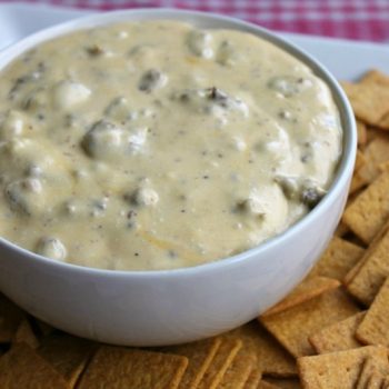 Slow Cooker Hissy Fit Dip turns one of our all time favorite dips into an easy to make appetizer everyone devours!
