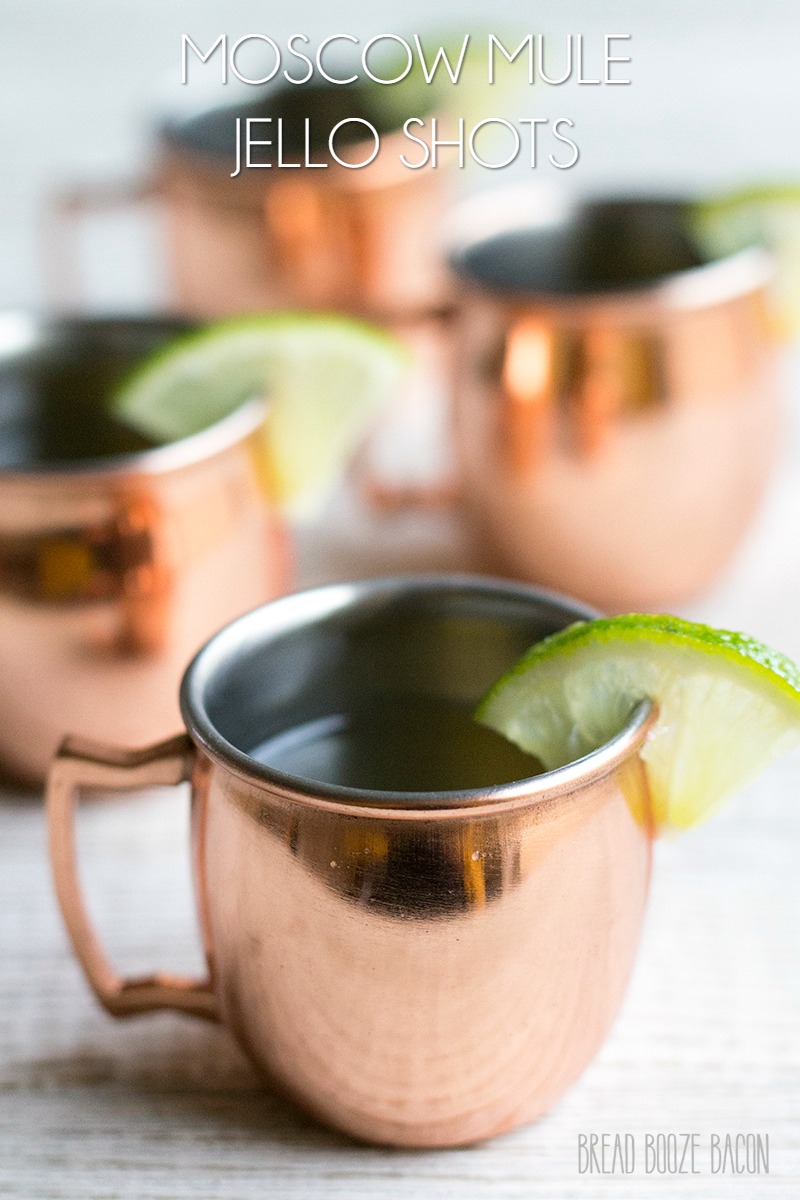 Turn a classic cocktail into a party ready shot with this easy Moscow Mule Jello Shots recipe!