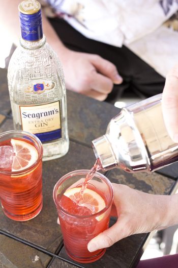 Meet your new favorite cocktail! This light and refreshing Blackberry Collins will be the hit of all your summer soirées!