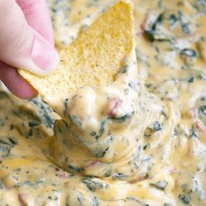 You'll never need another cheese dip recipe again after you try one bite of Crock Pot Spinach & Bacon Queso!