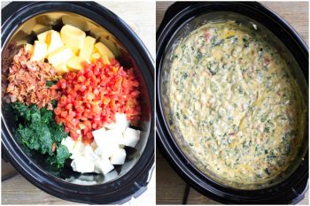 You'll never need another cheese dip recipe again after you try one bite of Crock Pot Spinach & Bacon Queso!