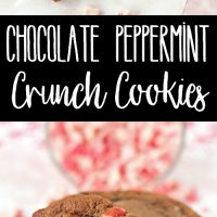 These Chocolate Peppermint Crunch Cookies are rich, chocolate cookies bursting with crunchy peppermint flavor. Perfect for a Christmas cookie exchange!