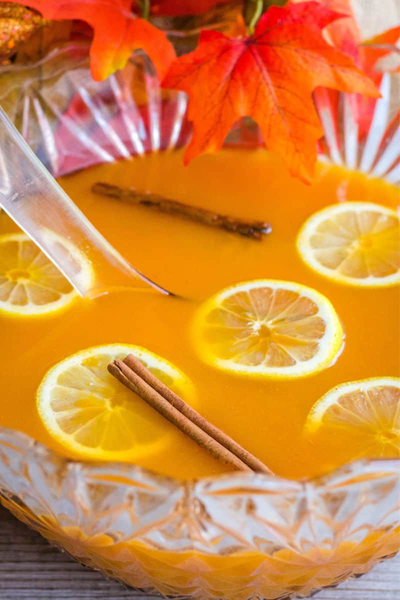 close up of punch bowl with sparkling pumpkin punch