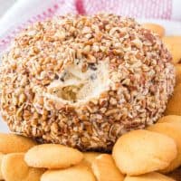 Ready to indulge? This Cookie Dough Cheese Ball will leave you dreaming about your next bite! Only 4 ingredients and OMG it's just so good!