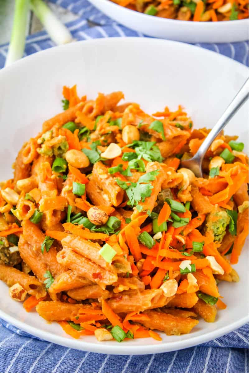 thai peanut sauce pasta in a pasta bowl with a fork