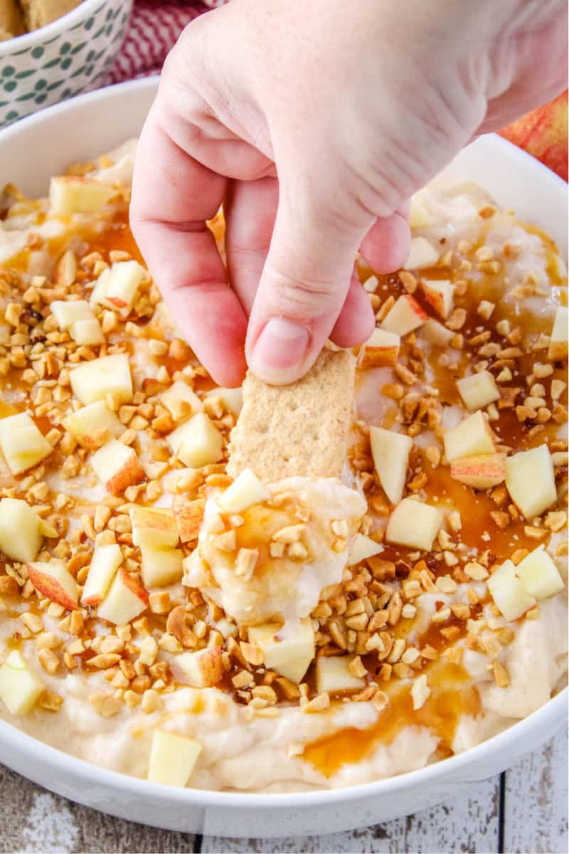 graham cracker being dipped in the apple cheesecake dip