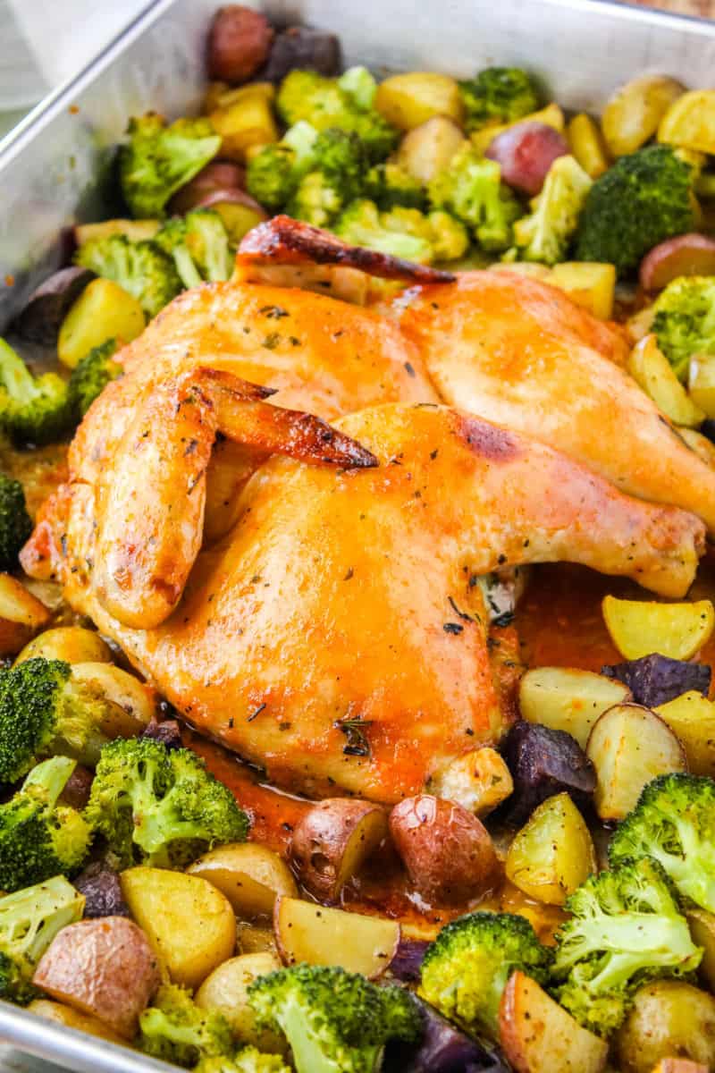 side view of spatchcock chicken after roasting with broccoli and potatoes