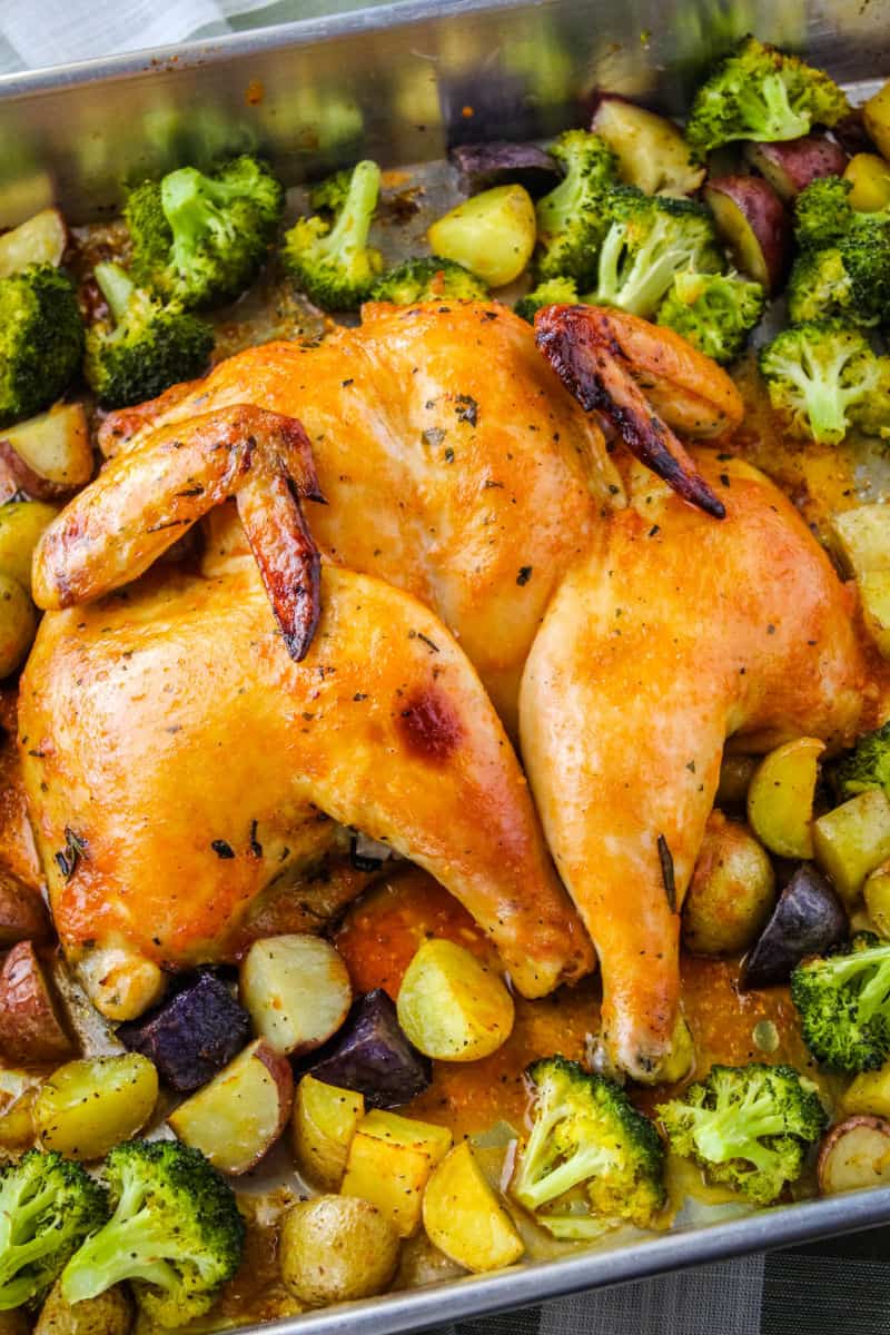 close up of spatchcock chicken after roasting with vegetables