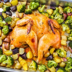 square image of spatchcock chicken on a bakign sheet with roasted broccoli and potatoes