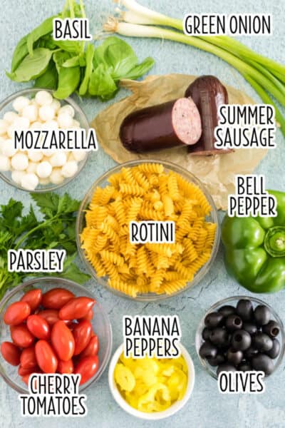 ingredients for antipasto pasta salad laid out on a counter with text labels