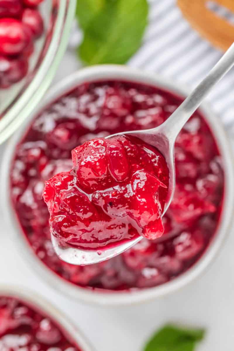 close up of a spoonful of cranberry sauce over the bowl
