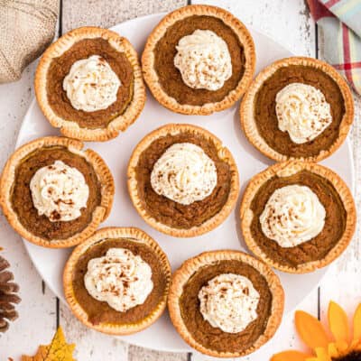 square image of mini pumpkin pies on a white plate