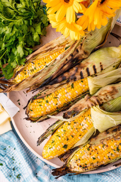 grilled corn on a platter with the husk pulled back
