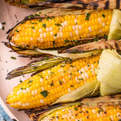 square image of grilled corn on the cob laid out on a platter