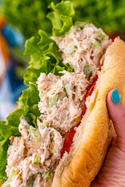 close up of a hand holding a chicken salad sandwich