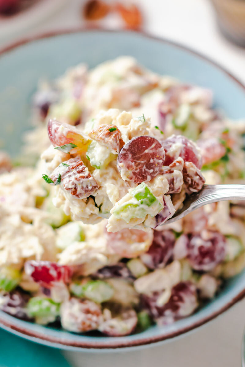 close up of a spoonful of chicken salad with grapes over the bowl