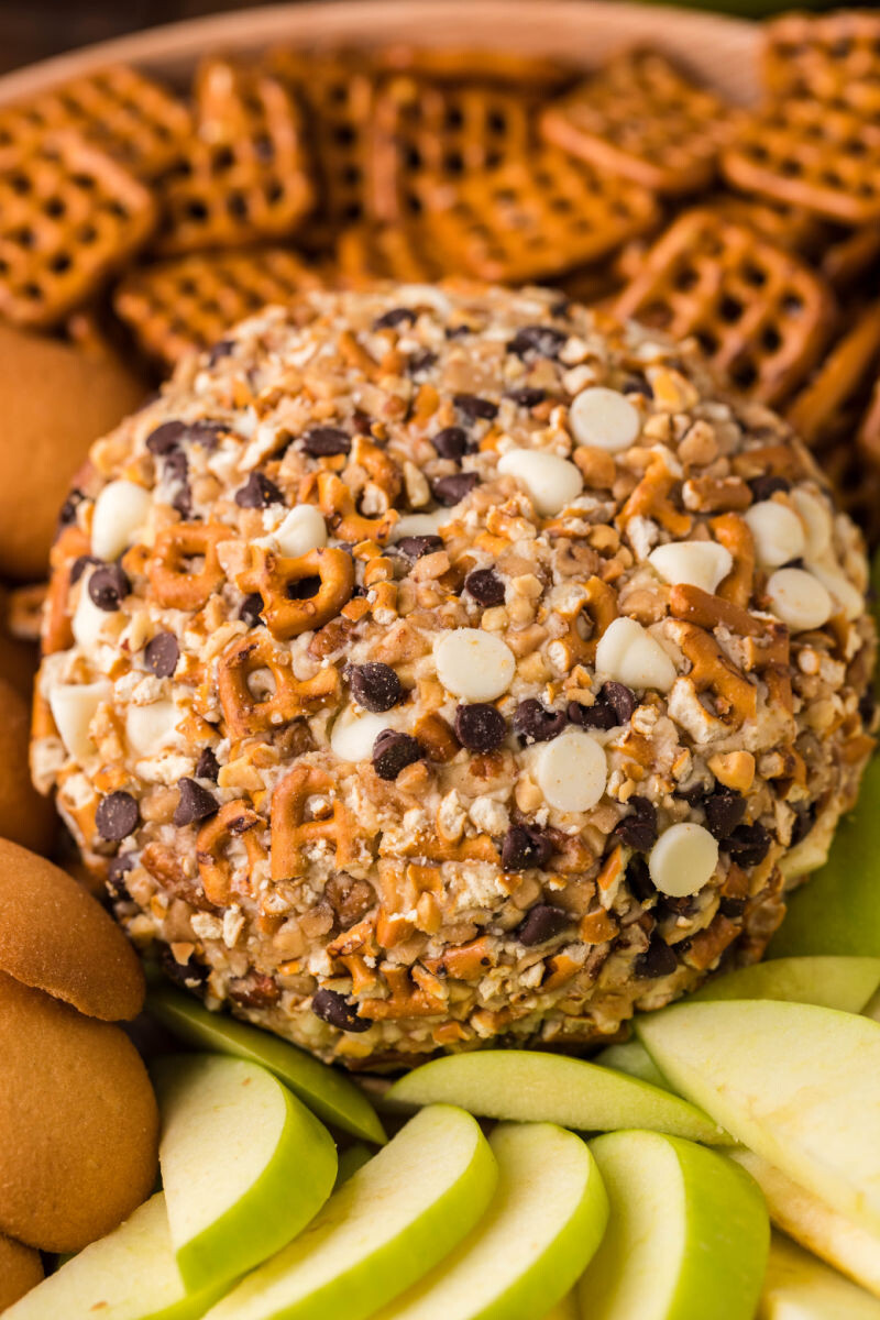 close up of a chocolate chip cheese ball on a platter of dippers