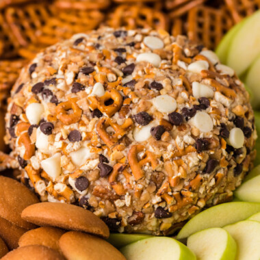 square image of a chocolate chip cheese ball surrounded by apple slices, pretzels, and nilla wafers