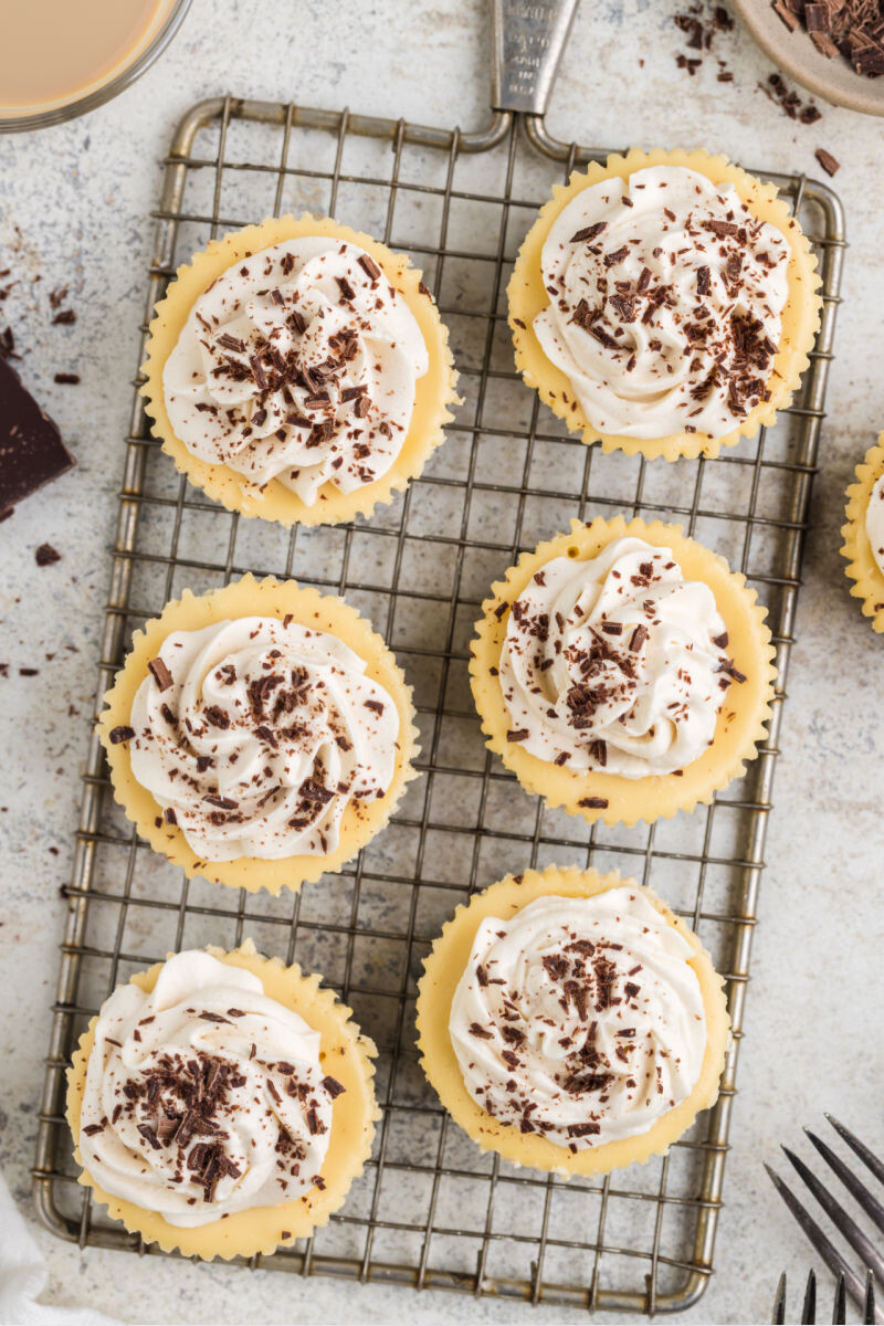 looking down at 6 mini baileys cheesecakes topped with whipped cream and chocolate shavings