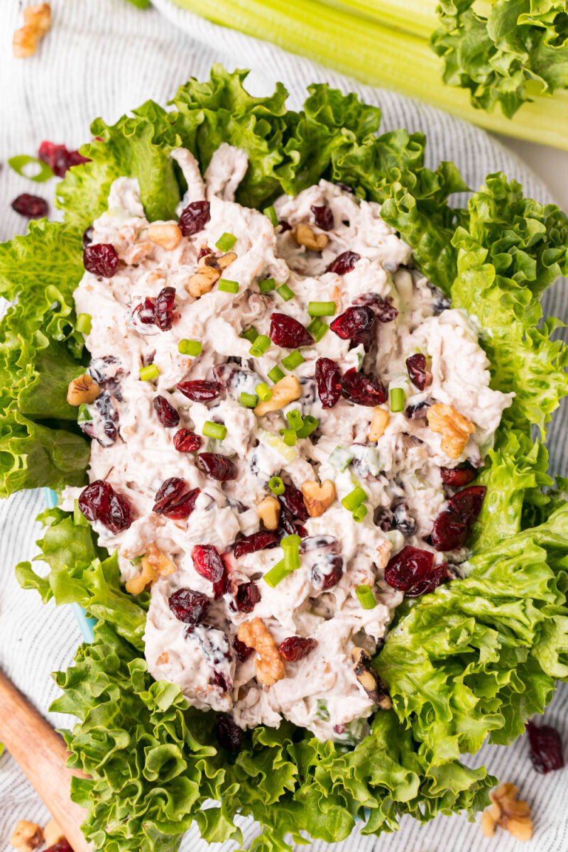 walnut & cranberry chicken salad topped with walnuts, craisins, and green onions served on a lettuce leaf