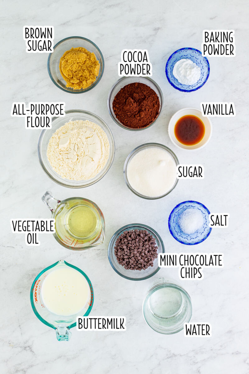 ingredients for chocolate pudding cake in bowls with text labels