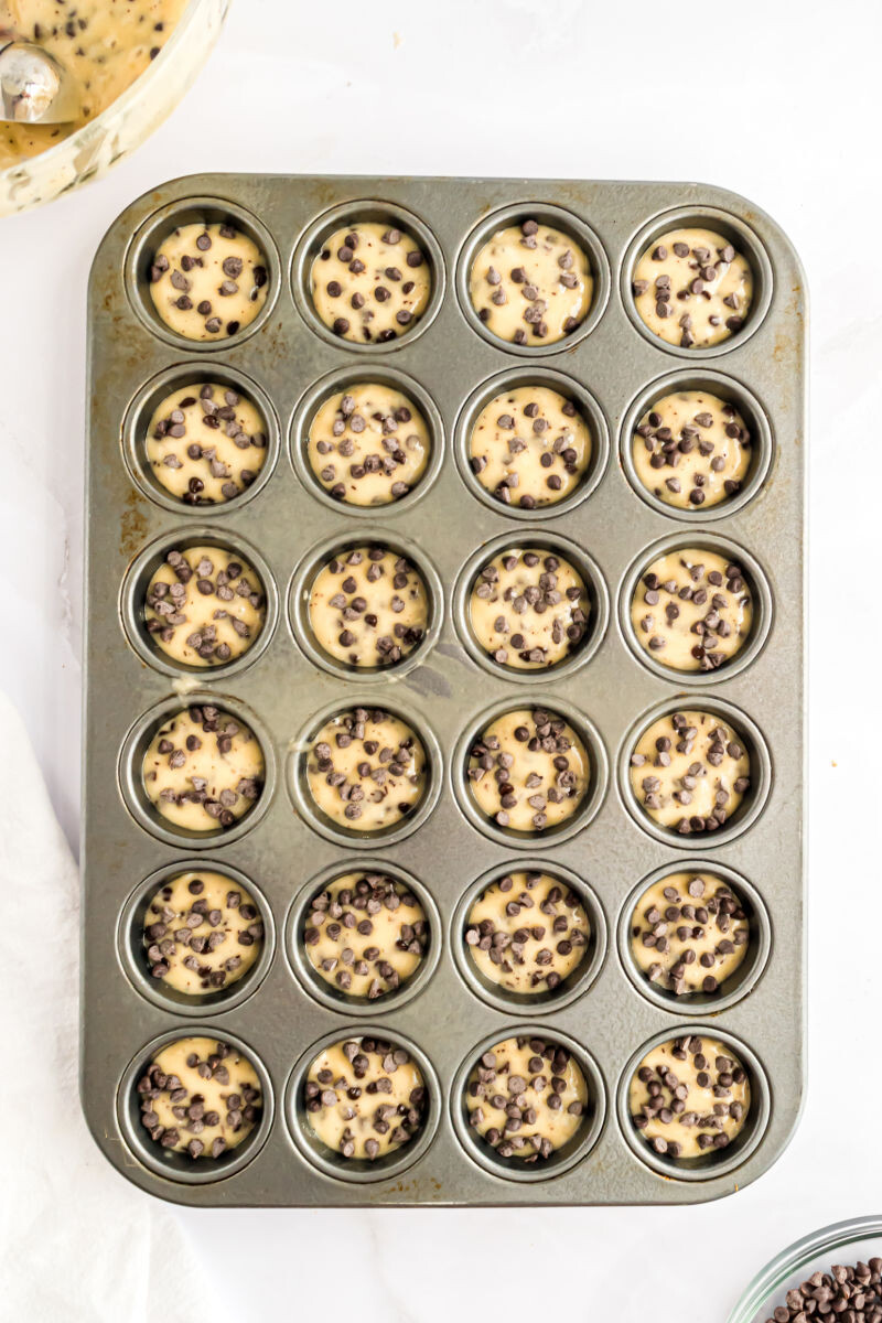 chocolate chip muffin batter in a mini muffin tin with extra chocolate chips sprinkled on top