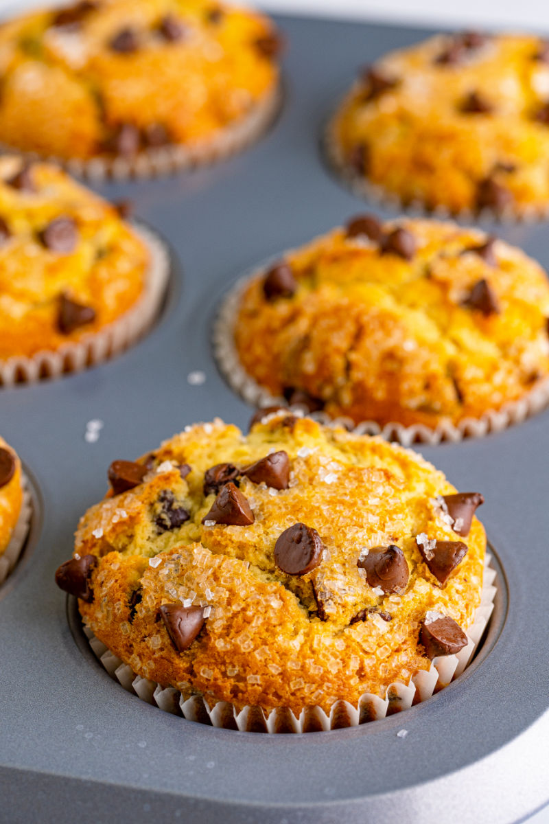 close up of bakery style chocolate chip muffins in a muffin tin