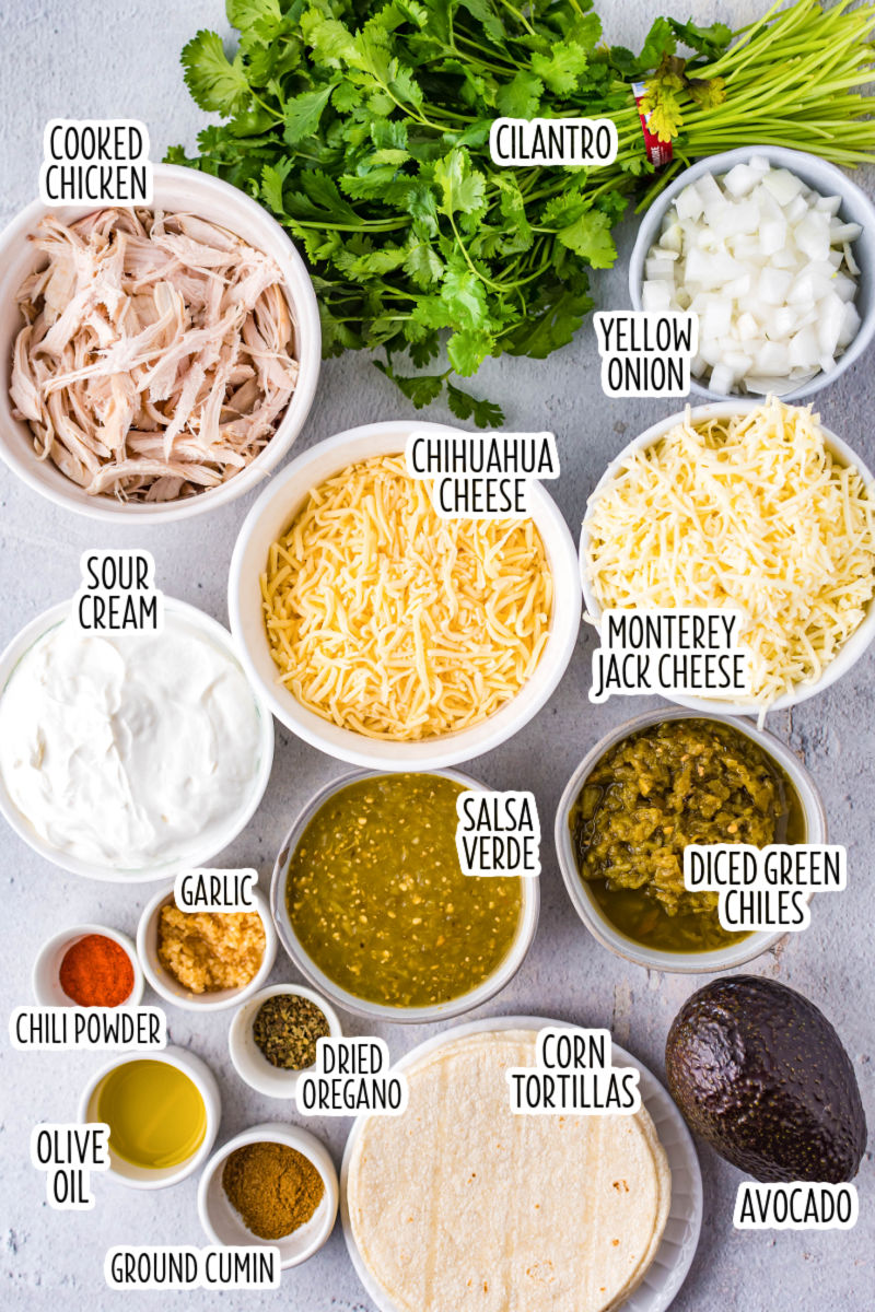 ingredients to make make green chicken enchiladas with text labels